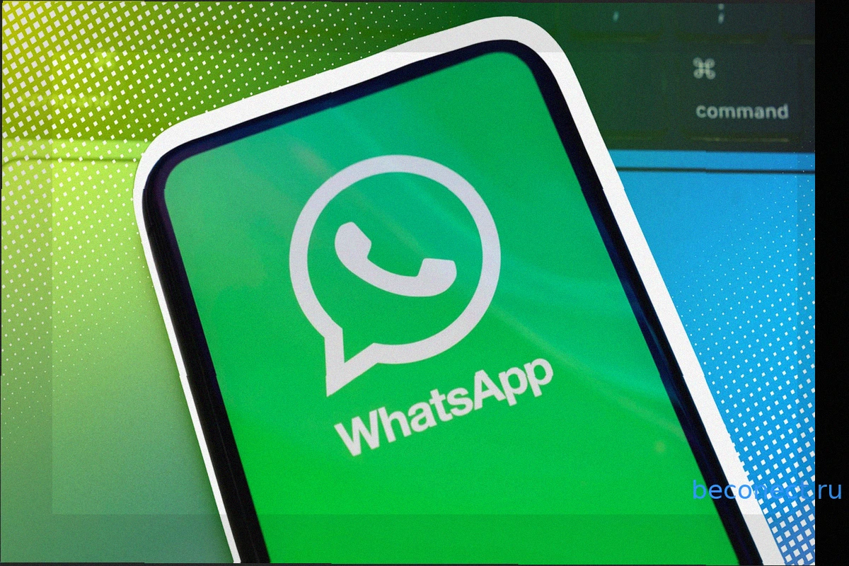 Как сохранить видео из статуса WhatsApp на телефон без потери качества
