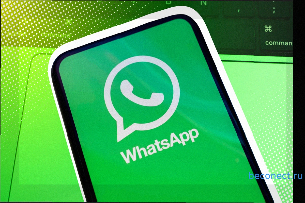 WhatsApp прекращает поддержку: этим пользователям Android нужно действовать