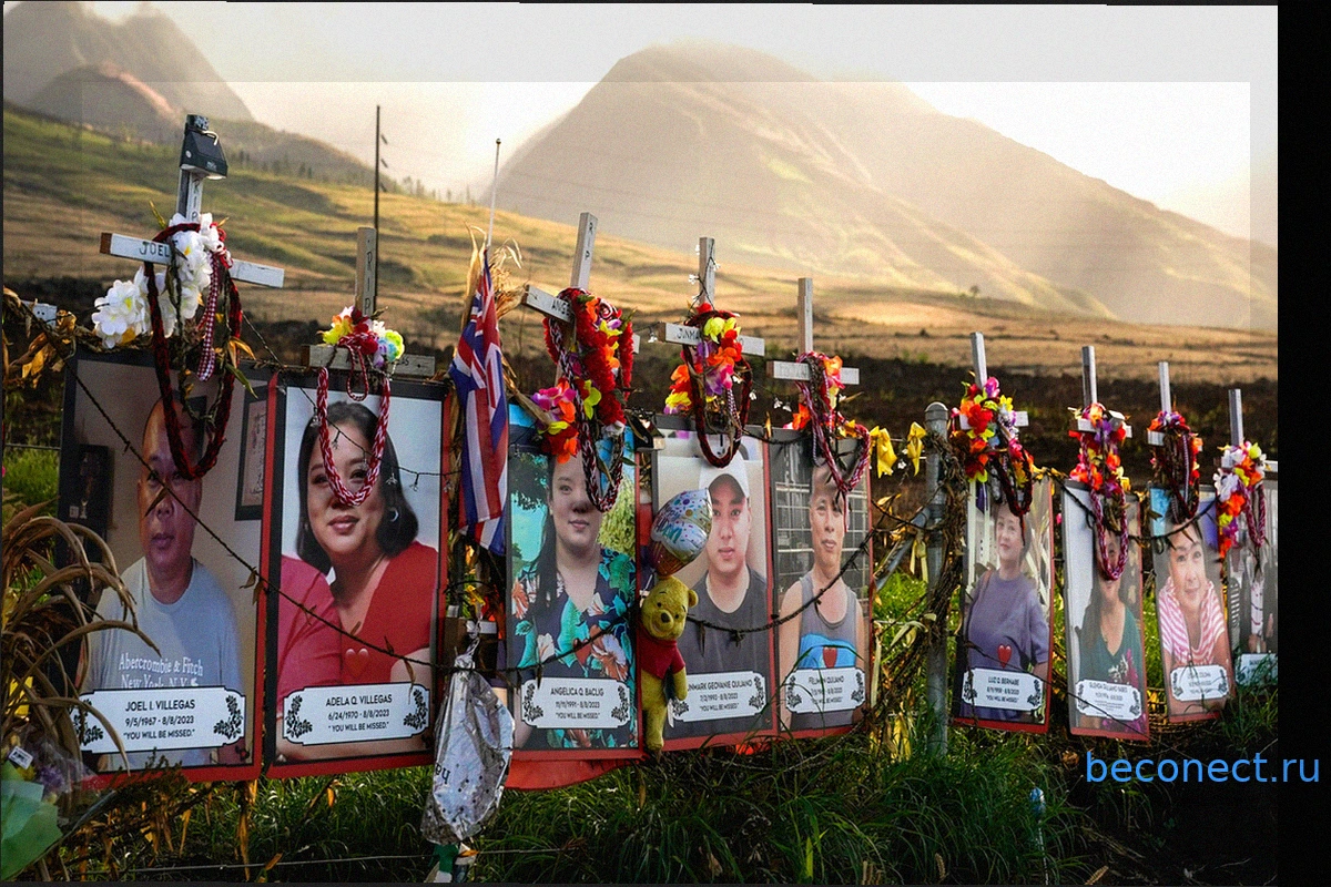 Новый Выпуск MIT Technology Review: Природа, Будущее ИИ и Энергетика