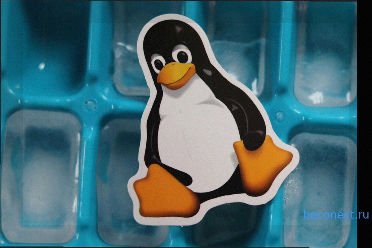 Погодите. Неужели год Linux наконец настал?