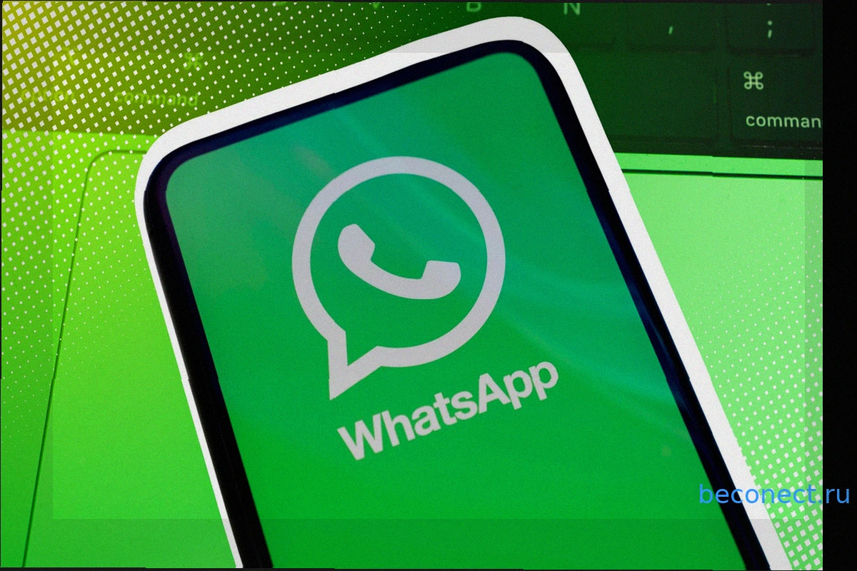 Не виден статус WhatsApp? Как исправить проблему на Android и iPhone